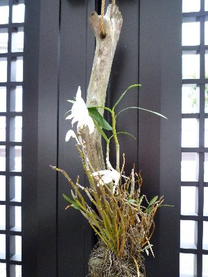 0905162.JPG
