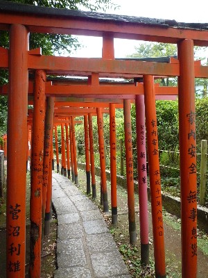 09102403.JPG