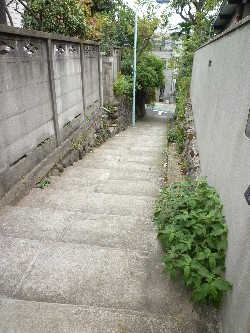 09102405.JPG