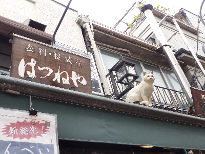 09102406.JPG