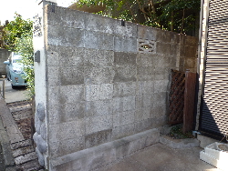 P1010841.JPG