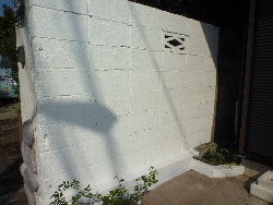 P1010845.JPG