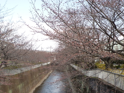 P1070774.JPG