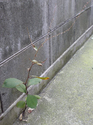 20141011 (2)